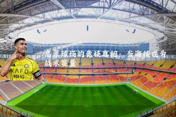 高原球场的竞技真相：当海拔成为战术变量